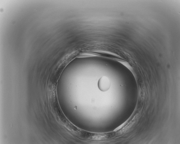 X0000060760172200511171157