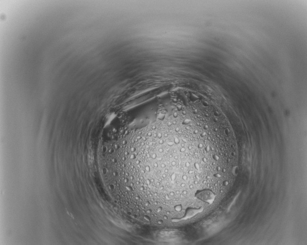 X0000060760173200511171157