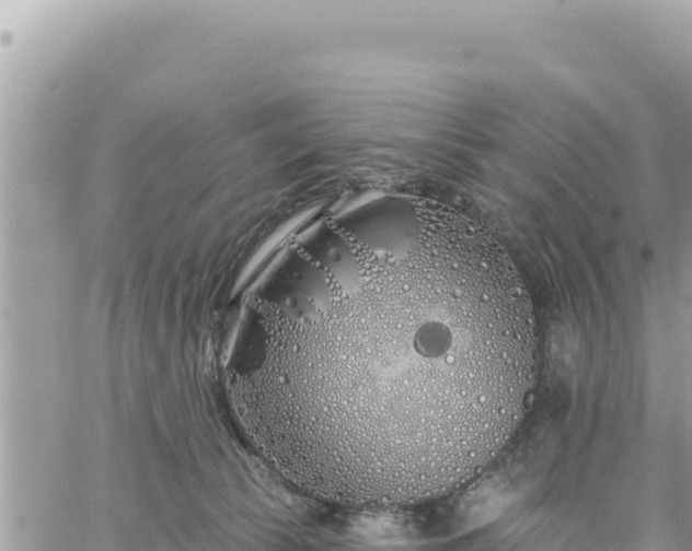 X0000060760177200511171157