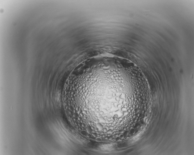 X0000060760178200511171157