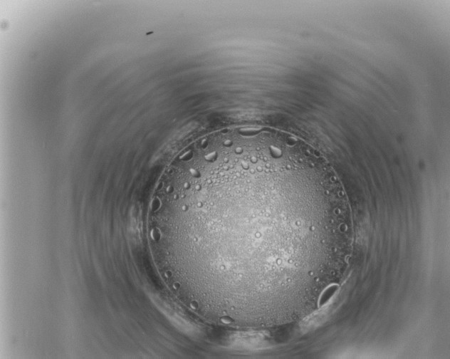 X0000060760179200511171157