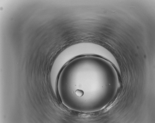 X0000060760180200511171157