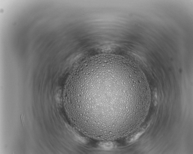 X0000060760181200511171157