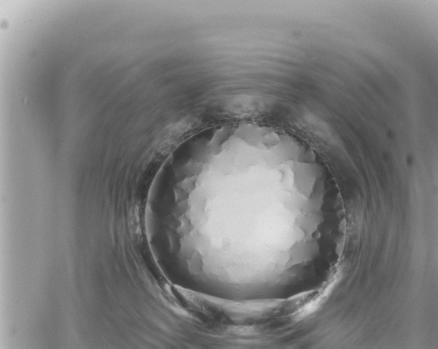 X0000060760182200511171157