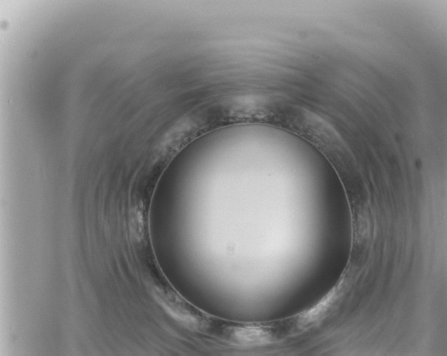 X0000060760183200511171157