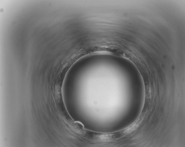 X0000060760184200511171157