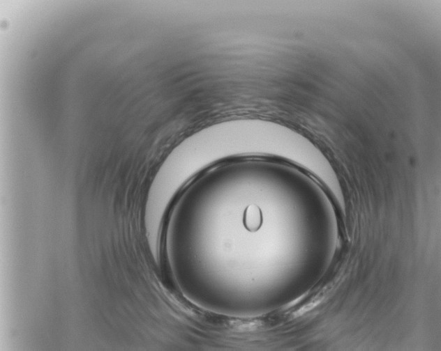 X0000060760185200511171157