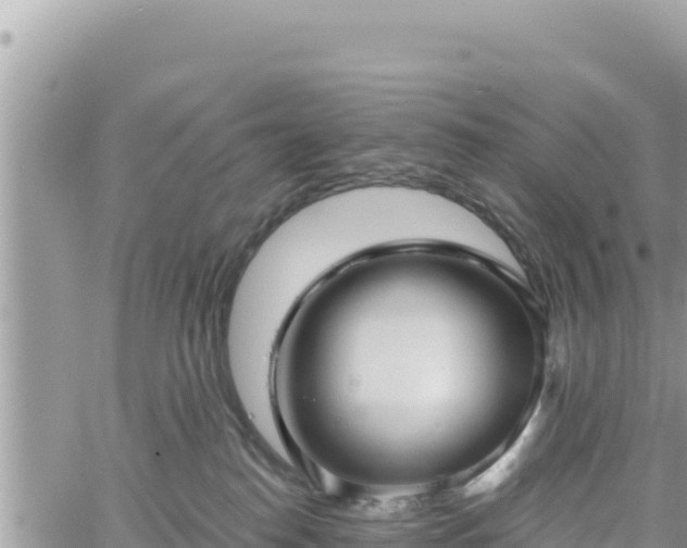 X0000060760186200511171157