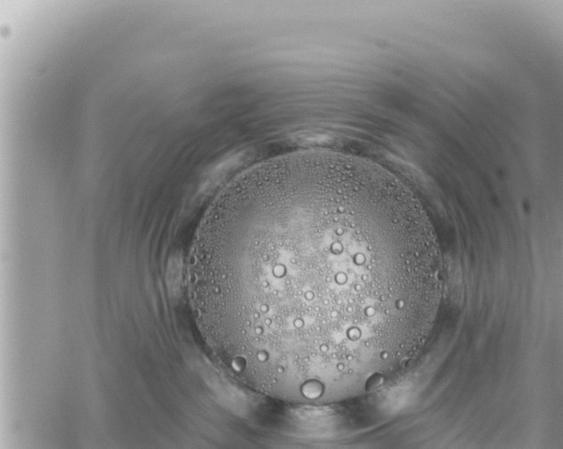 X0000060760189200511171157