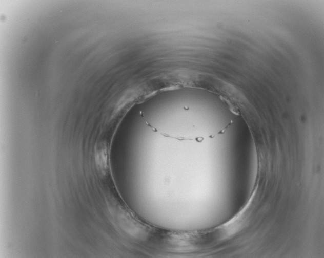 X0000060760190200511171157