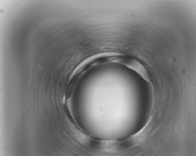 X0000060760192200511171157