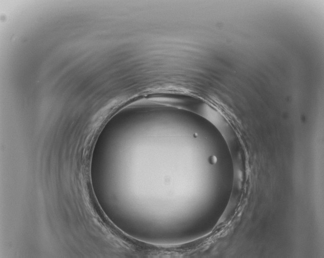 X0000060760193200511171156