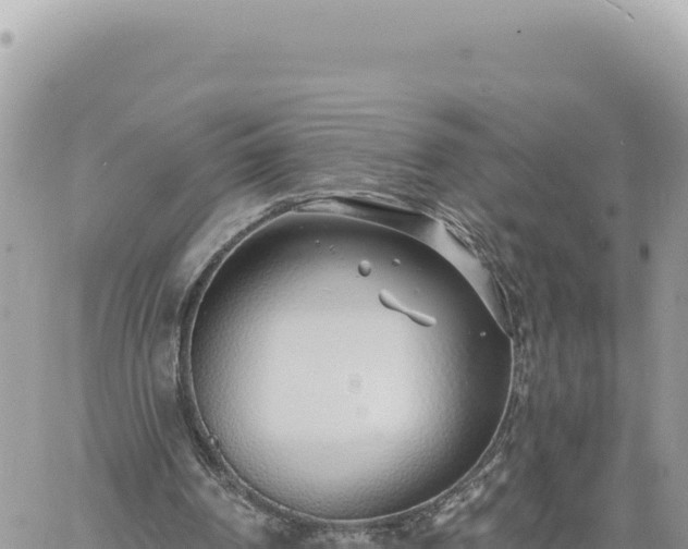 X0000060760194200511171156