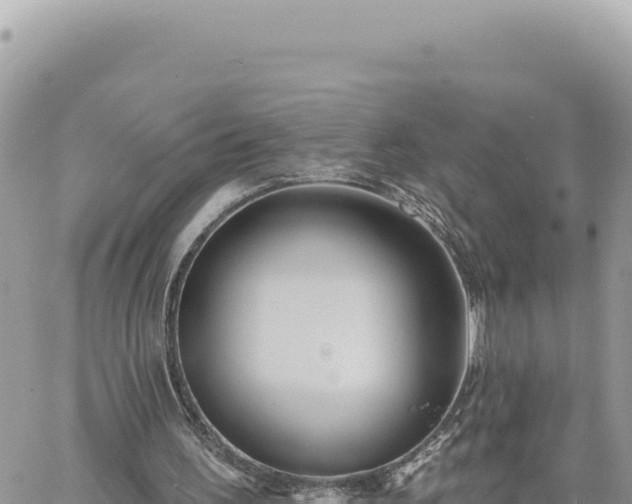 X0000060760195200511171156