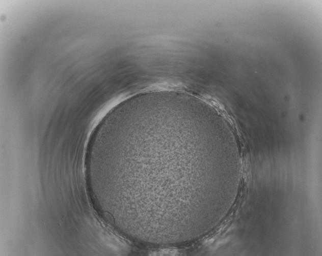 X0000060760196200511171156