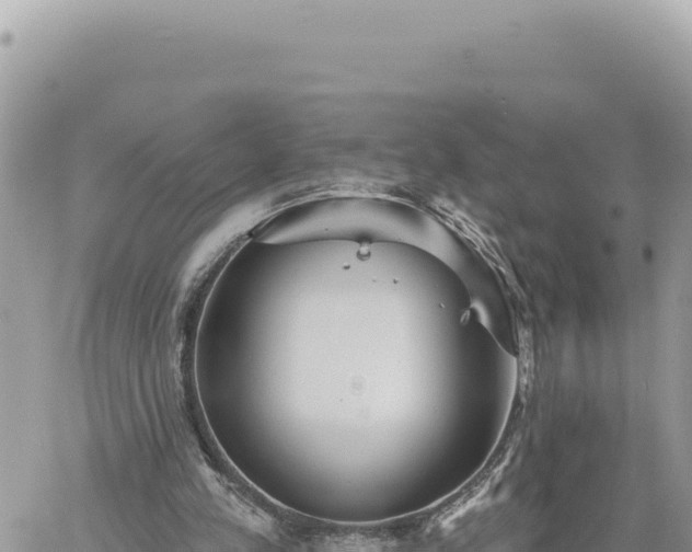 X0000060760197200511171156