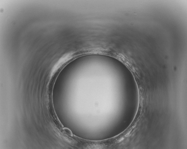 X0000060760198200511171156