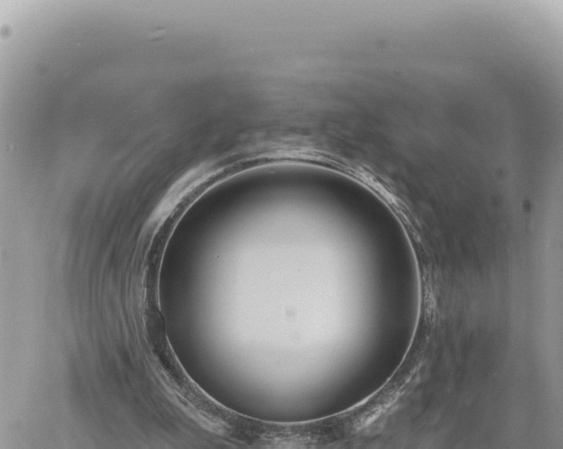 X0000060760199200511171156