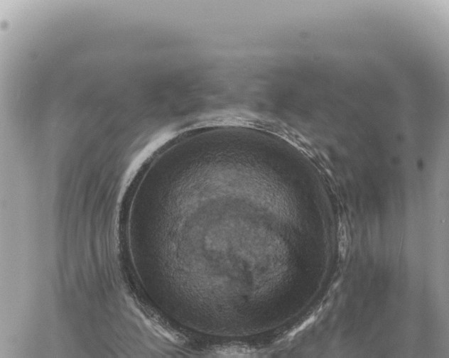 X0000060760200200511171156