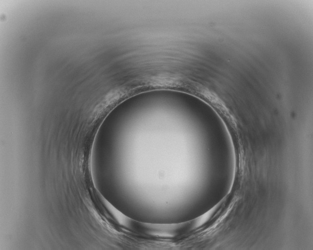 X0000060760201200511171156