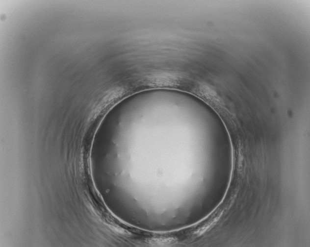 X0000060760202200511171156