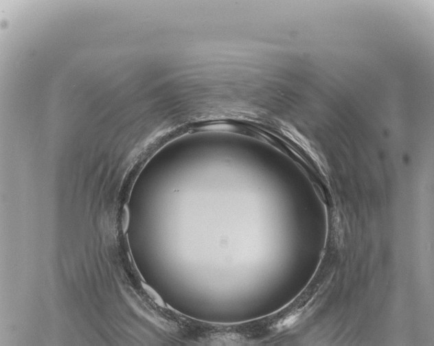 X0000060760203200511171156