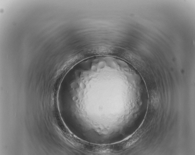 X0000060760206200511171156