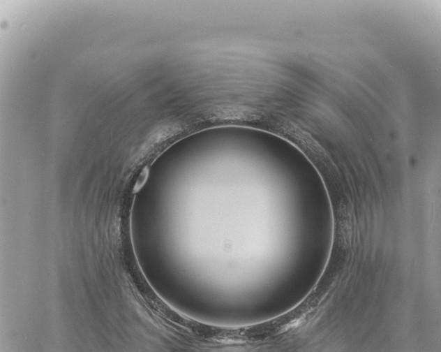 X0000060760207200511171156