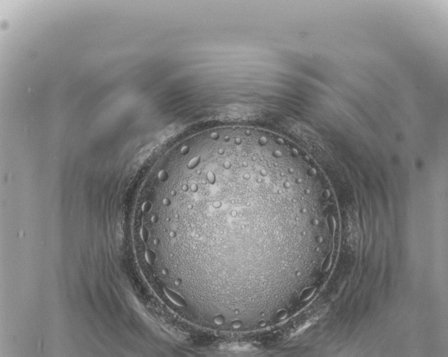 X0000060760208200511171156