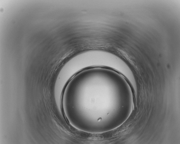 X0000060760211200511171156