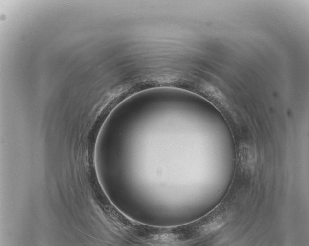 X0000060760212200511171156