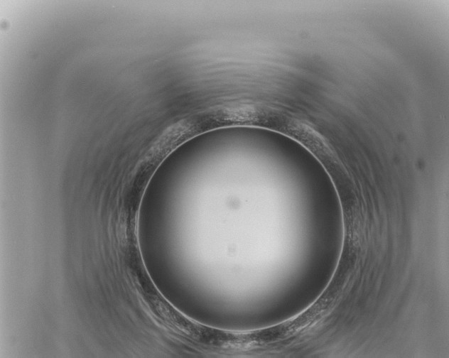 X0000060760213200511171156