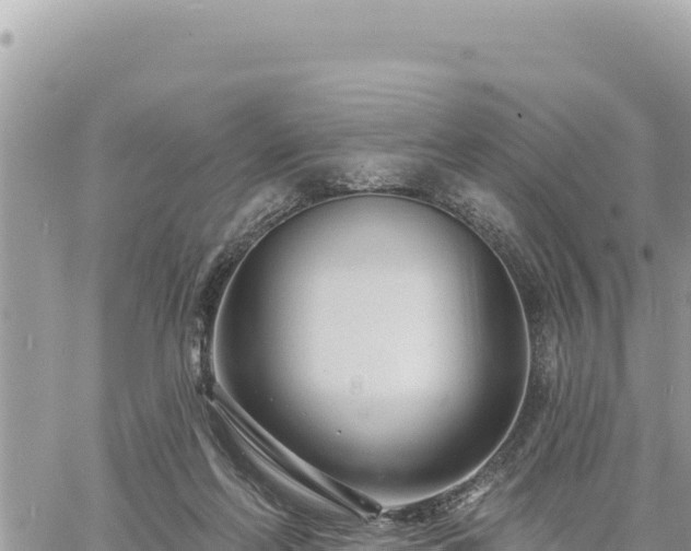 X0000060760214200511171156