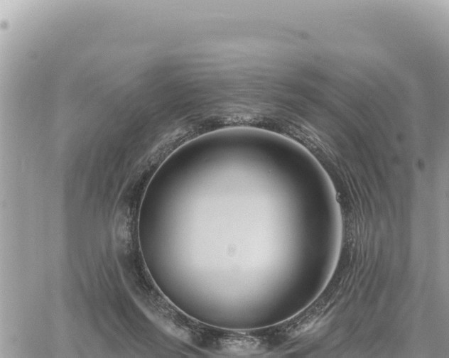 X0000060760215200511171156