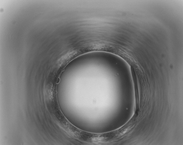 X0000060760216200511171156