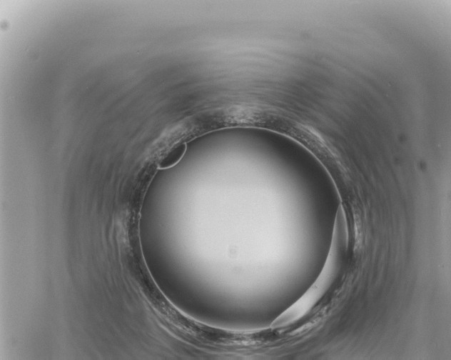 X0000060760217200511171156