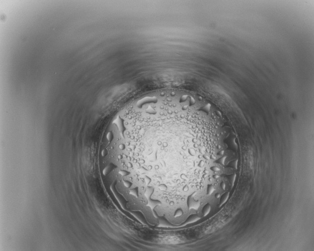 X0000060760218200511171156