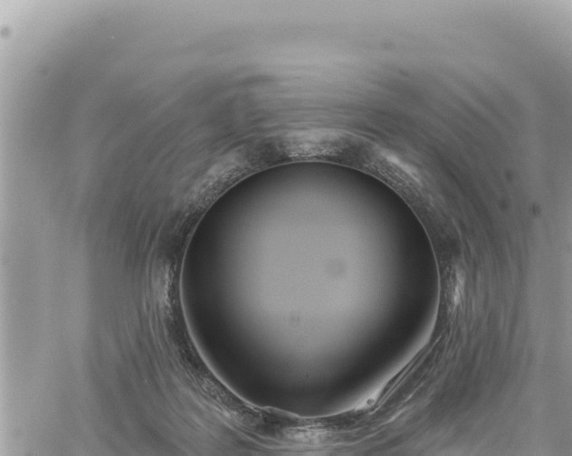 X0000060760219200511171156