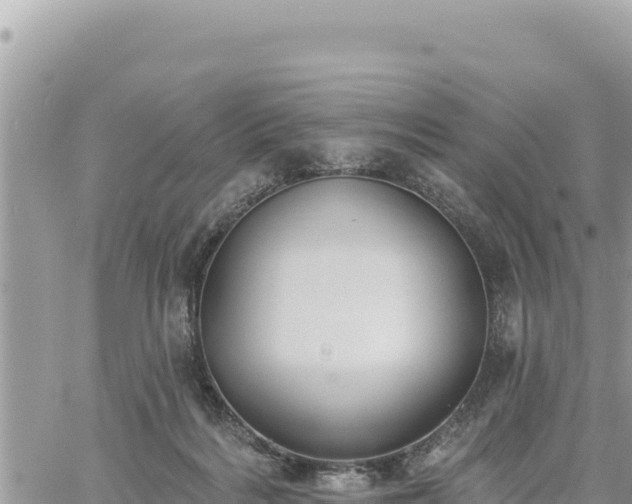 X0000060760220200511171156