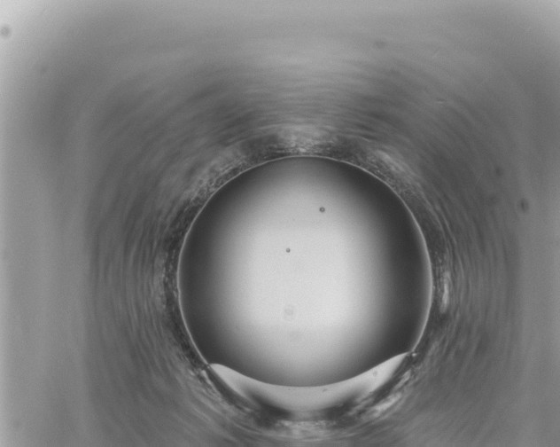 X0000060760221200511171156