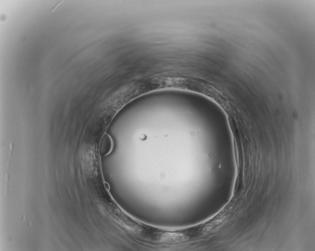 X0000060760222200511171156