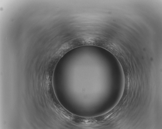 X0000060760223200511171156