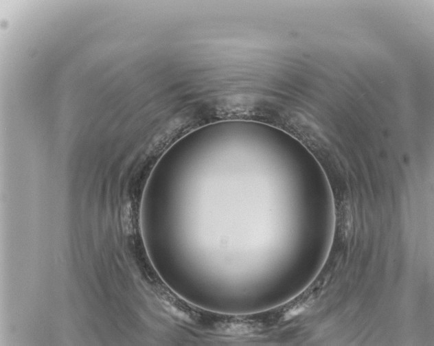 X0000060760224200511171156