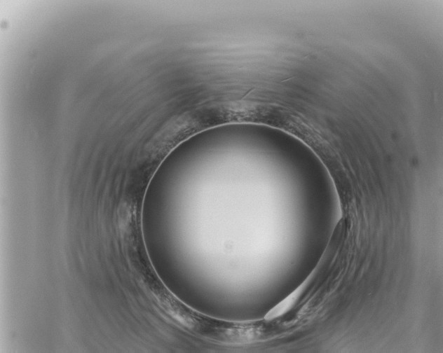 X0000060760225200511171156