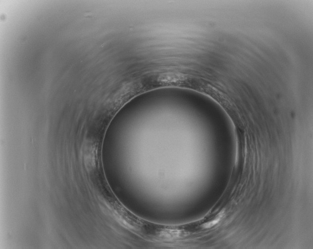 X0000060760227200511171156