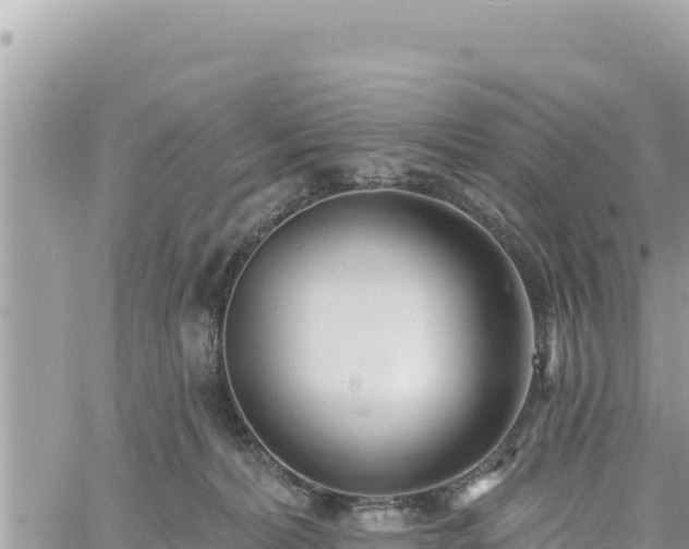 X0000060760228200511171156