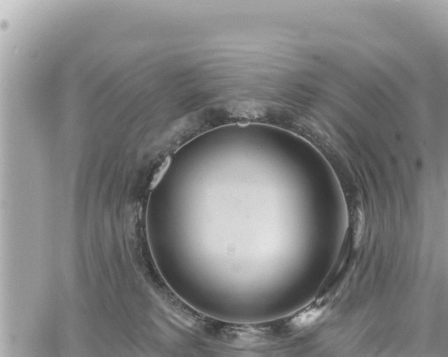 X0000060760229200511171156