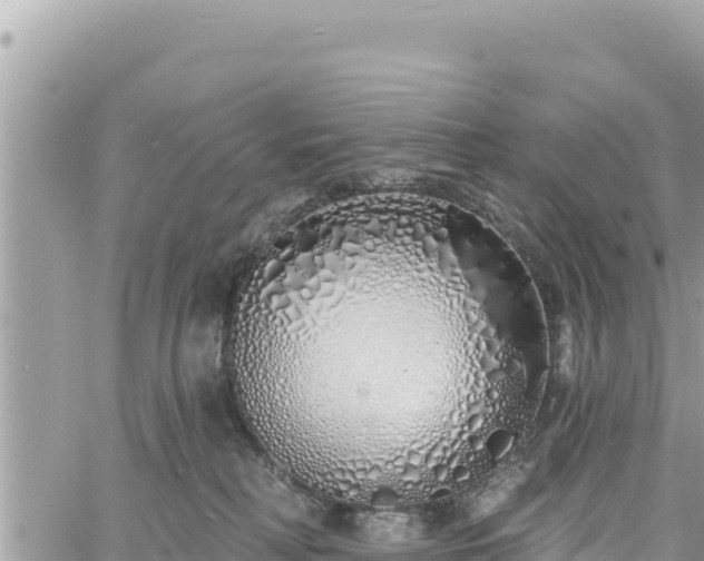 X0000060760230200511171156