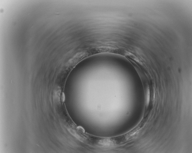 X0000060760231200511171156