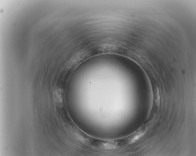 X0000060760232200511171156